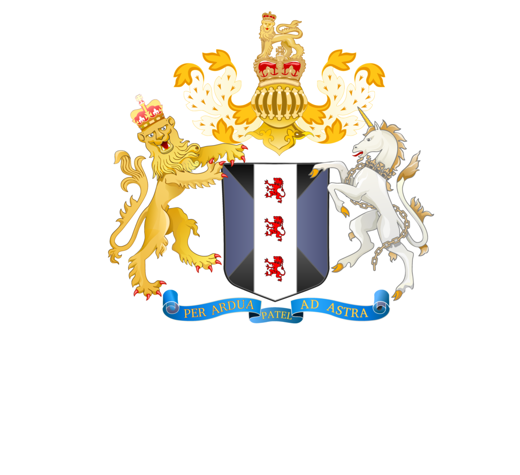 patelplasticsurgery.com